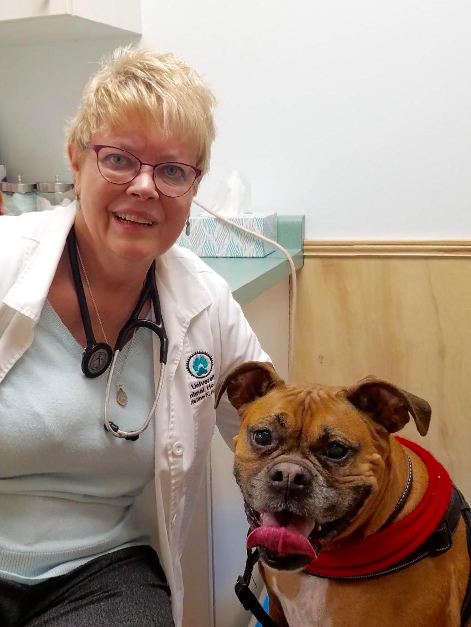 General Services University Animal Hospital Greensboro, NC