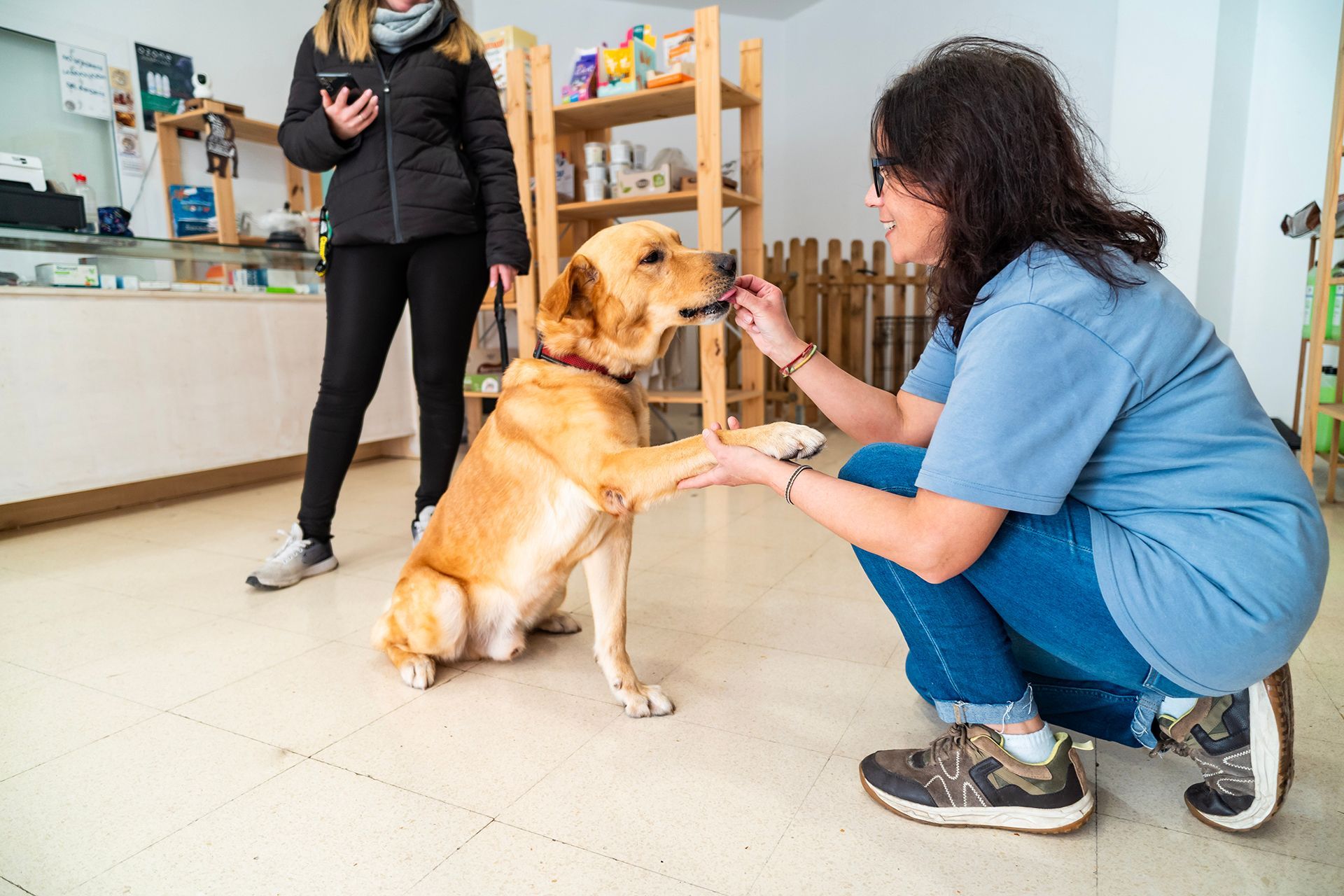 Veterinary Care For Pets