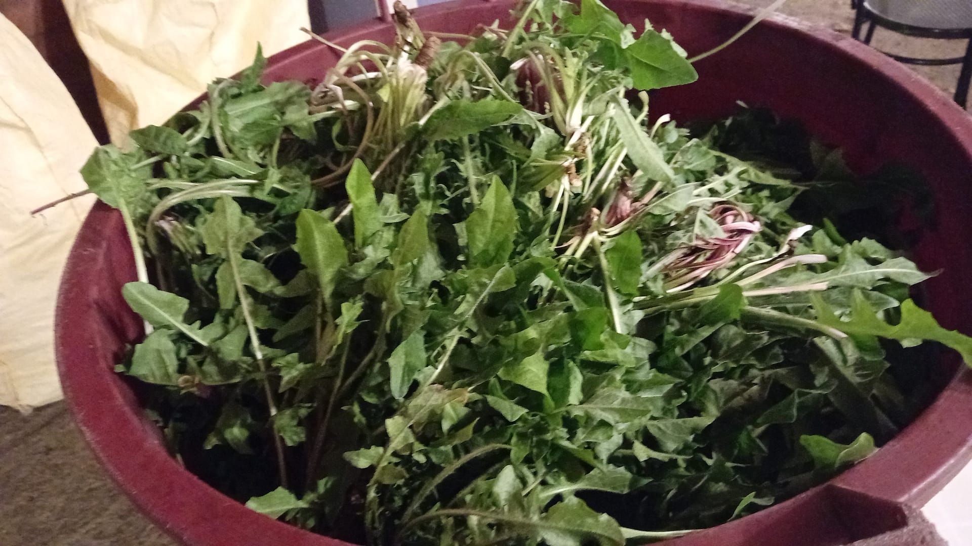 Una ciotola piena di verdure fresche a foglia verde e qualche fiore rosa.