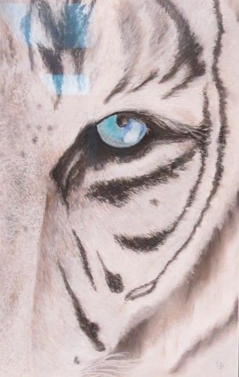 Close-up of a white tiger face with a bright blue eye and black stripes.