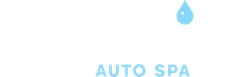 Big Drip Auto Spa logo