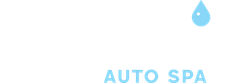 Big Drip Auto Spa logo