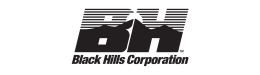 BH logo