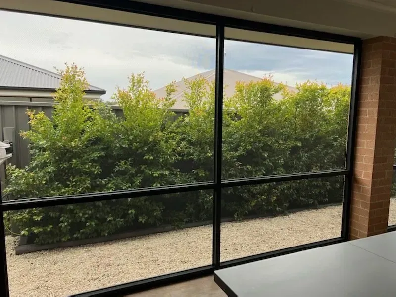 Large window with black frames overlooking a backyard with green shrubs, gravel ground, and a cloudy sky.