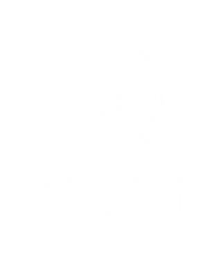 Guiji (龜記) vertical brand logo showcasing the iconic turtle emblem and clean typography.