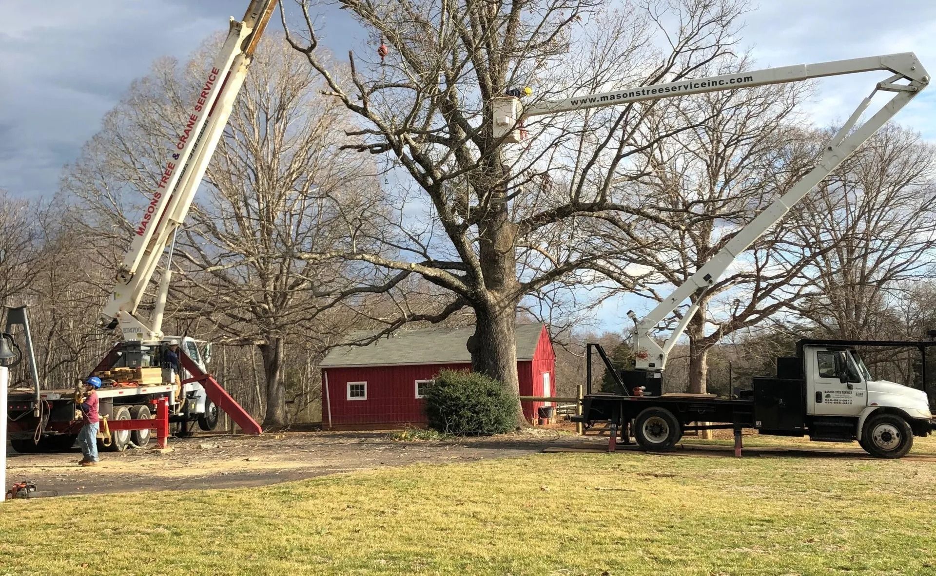 Two bucket trucks raising workers to trim bare trees beside a red barn and a white truck.