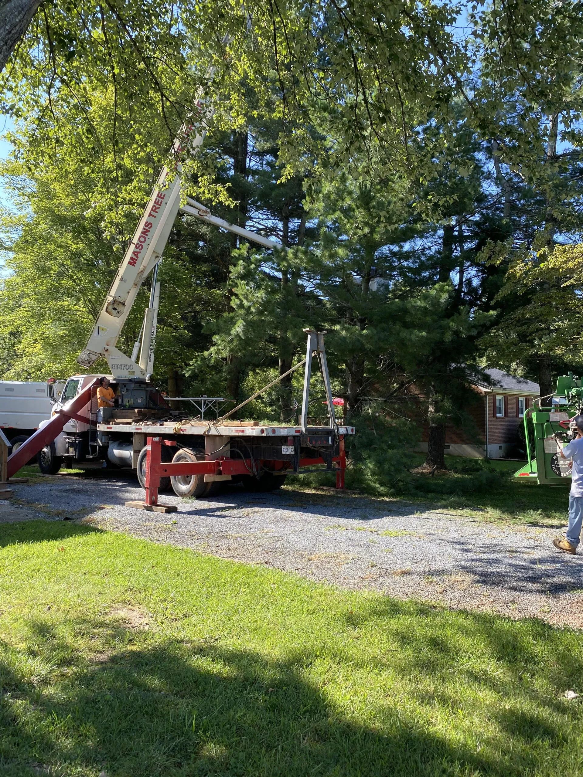 Bucket truck working beside tall trees on a gravel driveway, with a person standing nearby