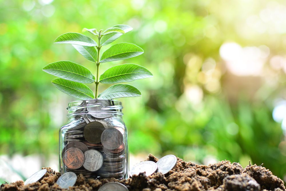 Coins in A Jar with A Small Green Plant Growing from Soil — Rauseo Group in Zuccoli, NT