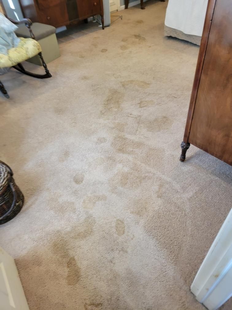 A room with a dirty carpet and a rocking chair.