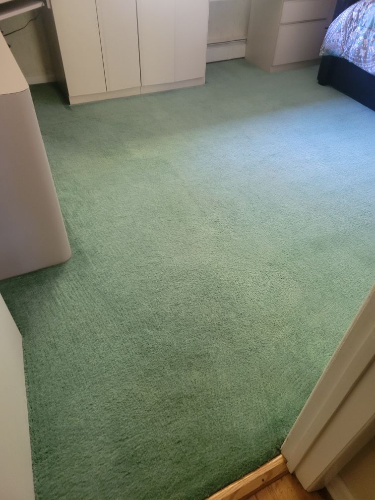 A bedroom with a green carpet and a bed.