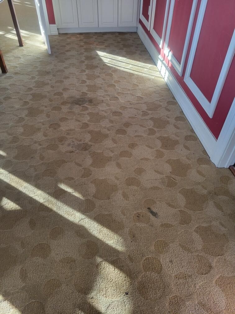 A room with a carpeted floor and red walls.
