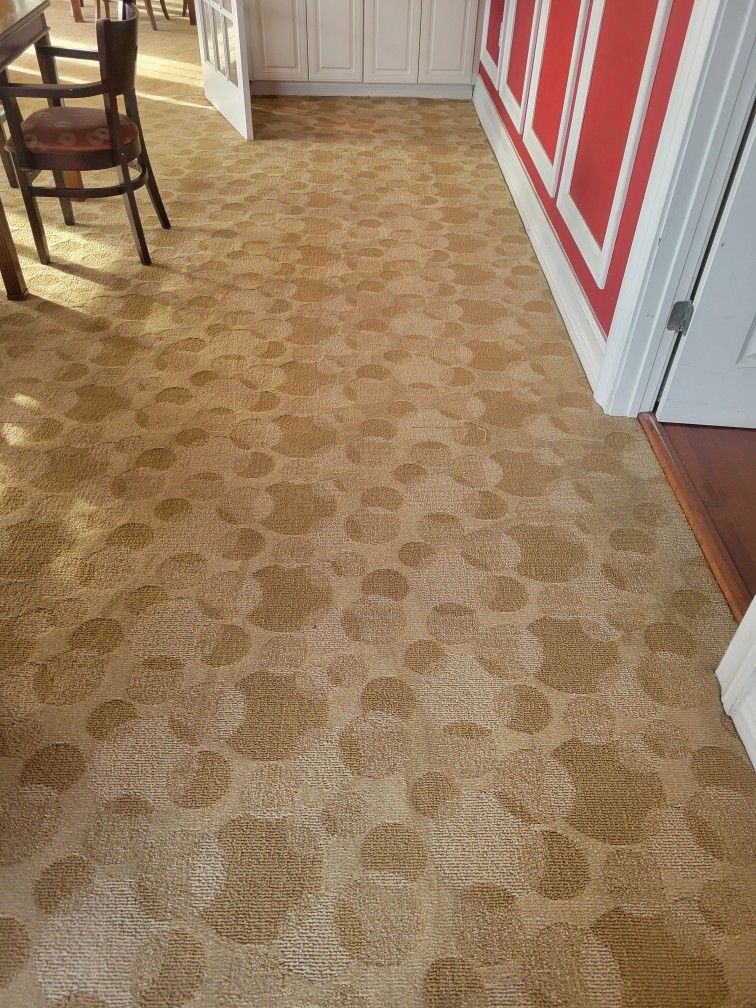 A carpeted floor in a room with a table and chairs.