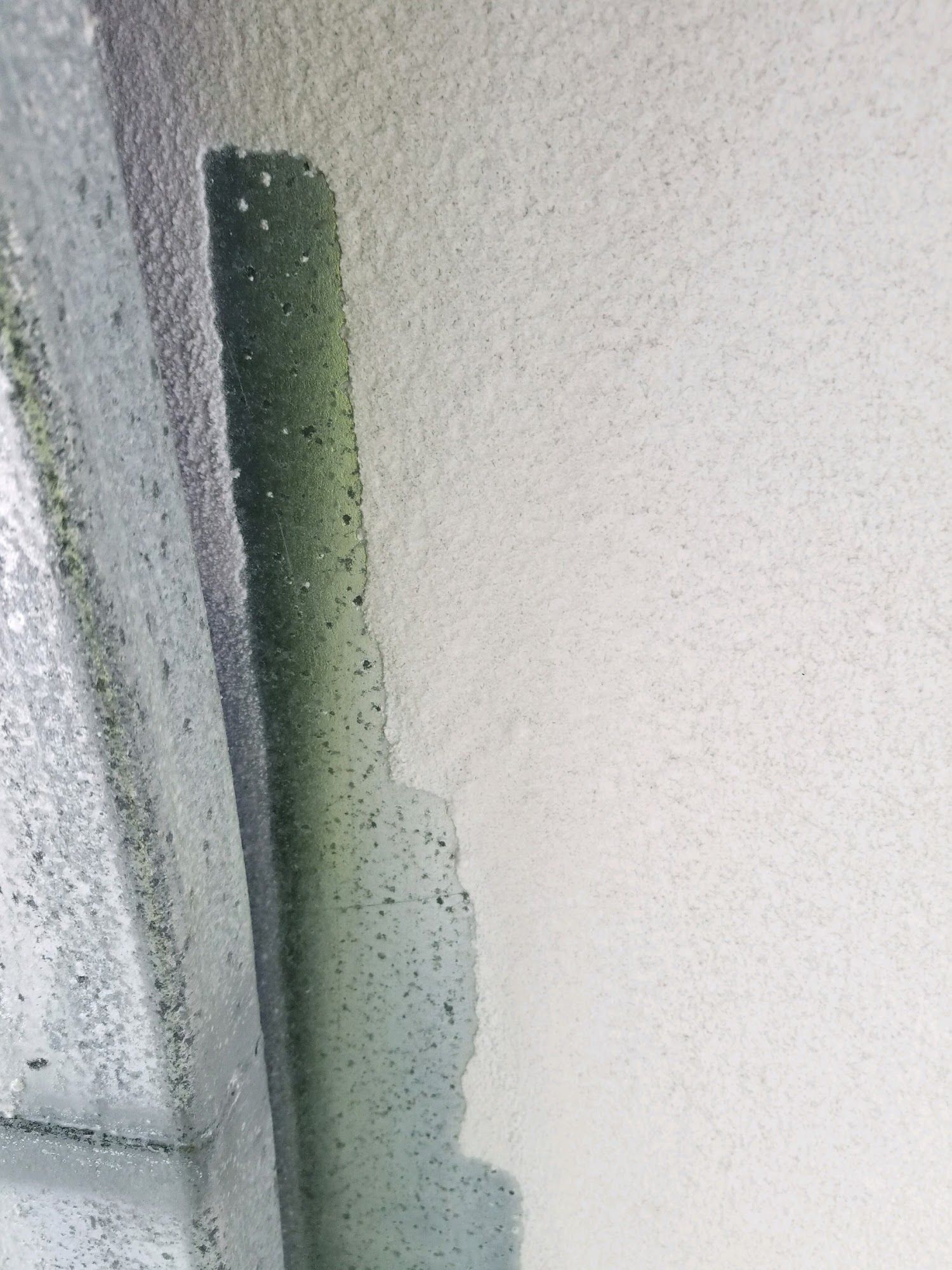 Close-up of a textured wall with a vertical green-painted strip and gray stucco edge.