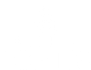 Modern Fortis Logo