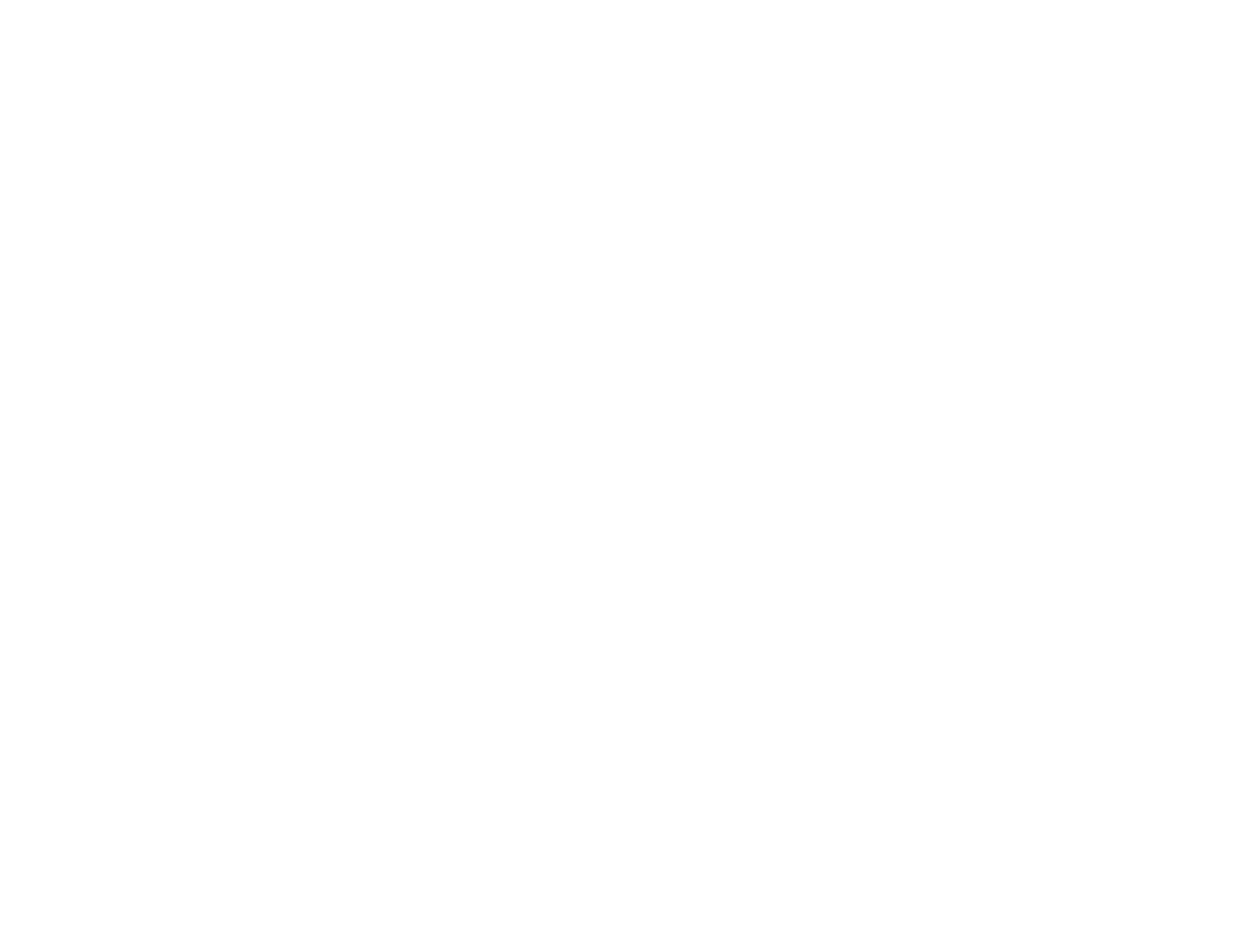 Modern Fortis Logo