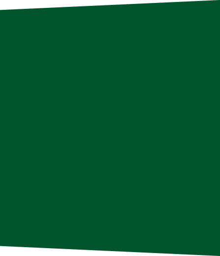 Solid dark green rectangle.