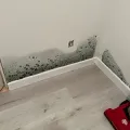 Mold and water damage along the base of a wall above gray flooring, with a red bag in the corner