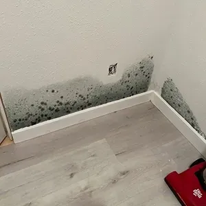 Mold and water damage along the base of a wall above gray flooring, with a red bag in the corner