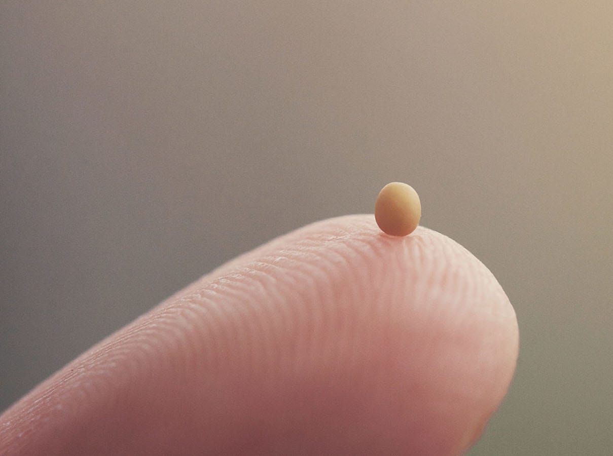 praying for wayward children mustard seed