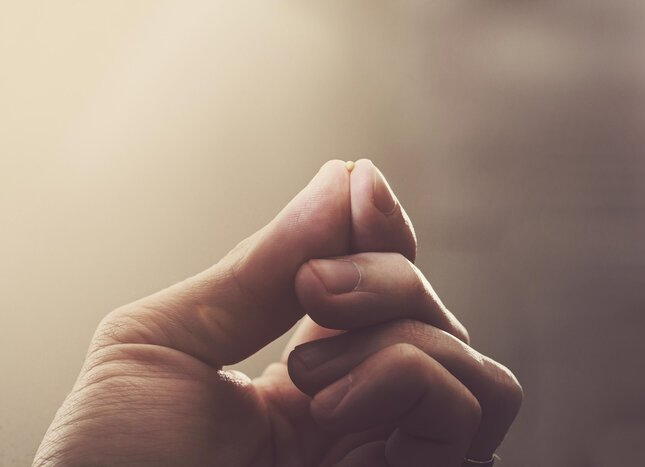 praying for prodigals mustard seed