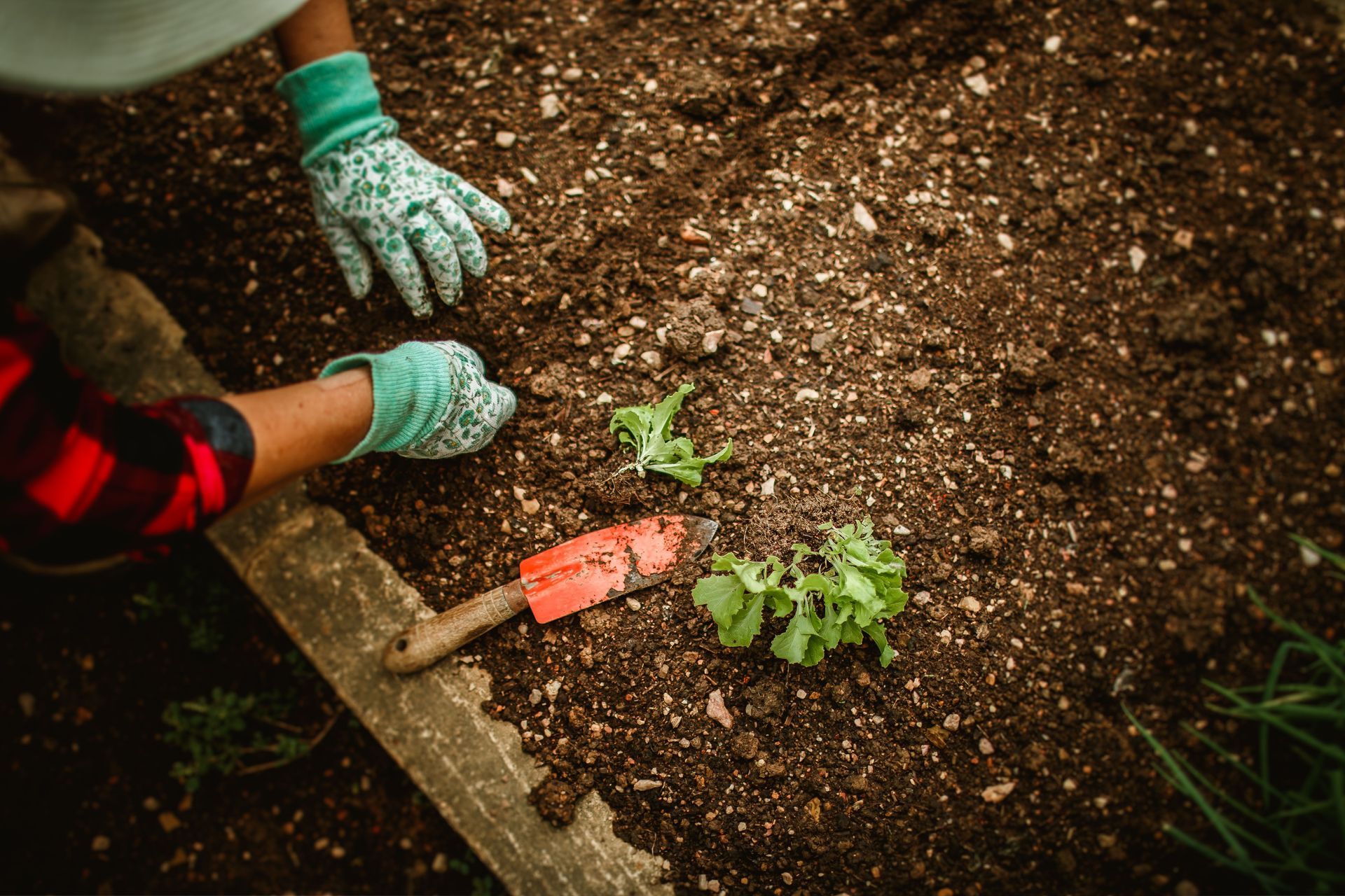 Dover Lawn Care Fertilizing