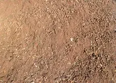 Close-up of dry, brown dirt with a rough, pebbly texture