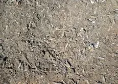 Close-up of dry, brown dirt with scattered small sticks and pebbles.