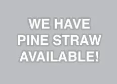 Gray sign with white text: “WE HAVE PINE STRAW AVAILABLE!”