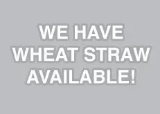 White text on gray background reads, “WE HAVE WHEAT STRAW AVAILABLE!”