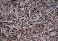 Close-up of brown wood chips and mulch covering the ground