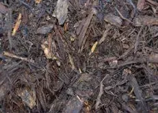 Close-up of dark brown mulch and wood chips on the ground