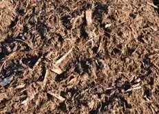 Close-up of brown wood chips and mulch covering the ground