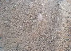 Close-up of a sandy, gravelly ground surface with small stones and light patches