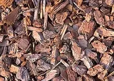 Close-up of brown wood chips and bark mulch covering the ground