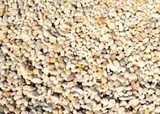 Close-up of small beige and pink pebbles covering the ground