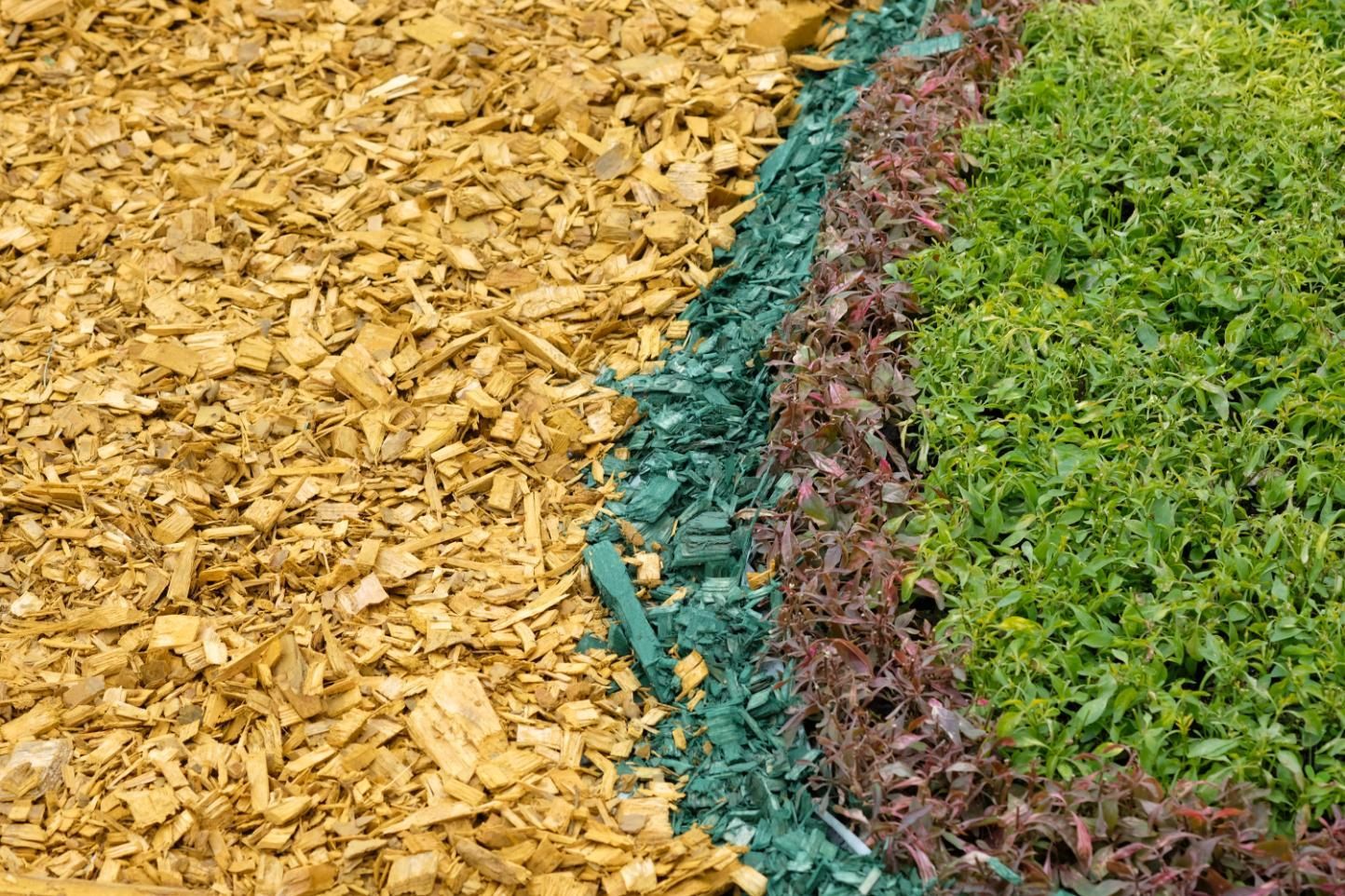 Wood mulch border separating tan mulch from green ground cover and red-edged plants