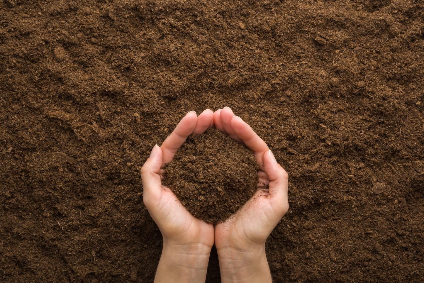 Hands cupping dark soil against a brown dirt background