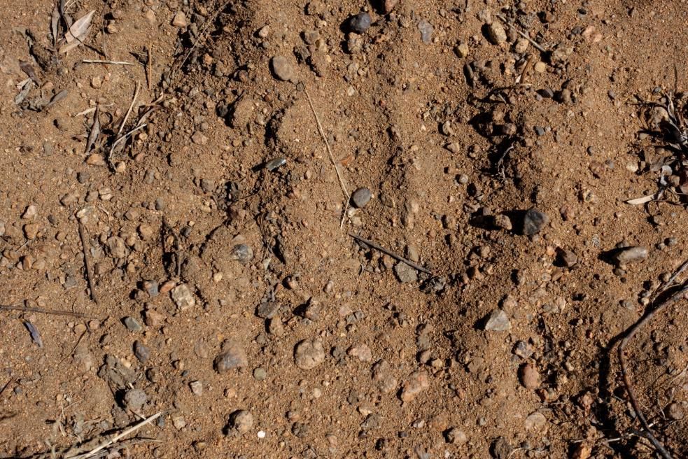 Close-up of dry brown dirt with small rocks and pebbles scattered across the surface