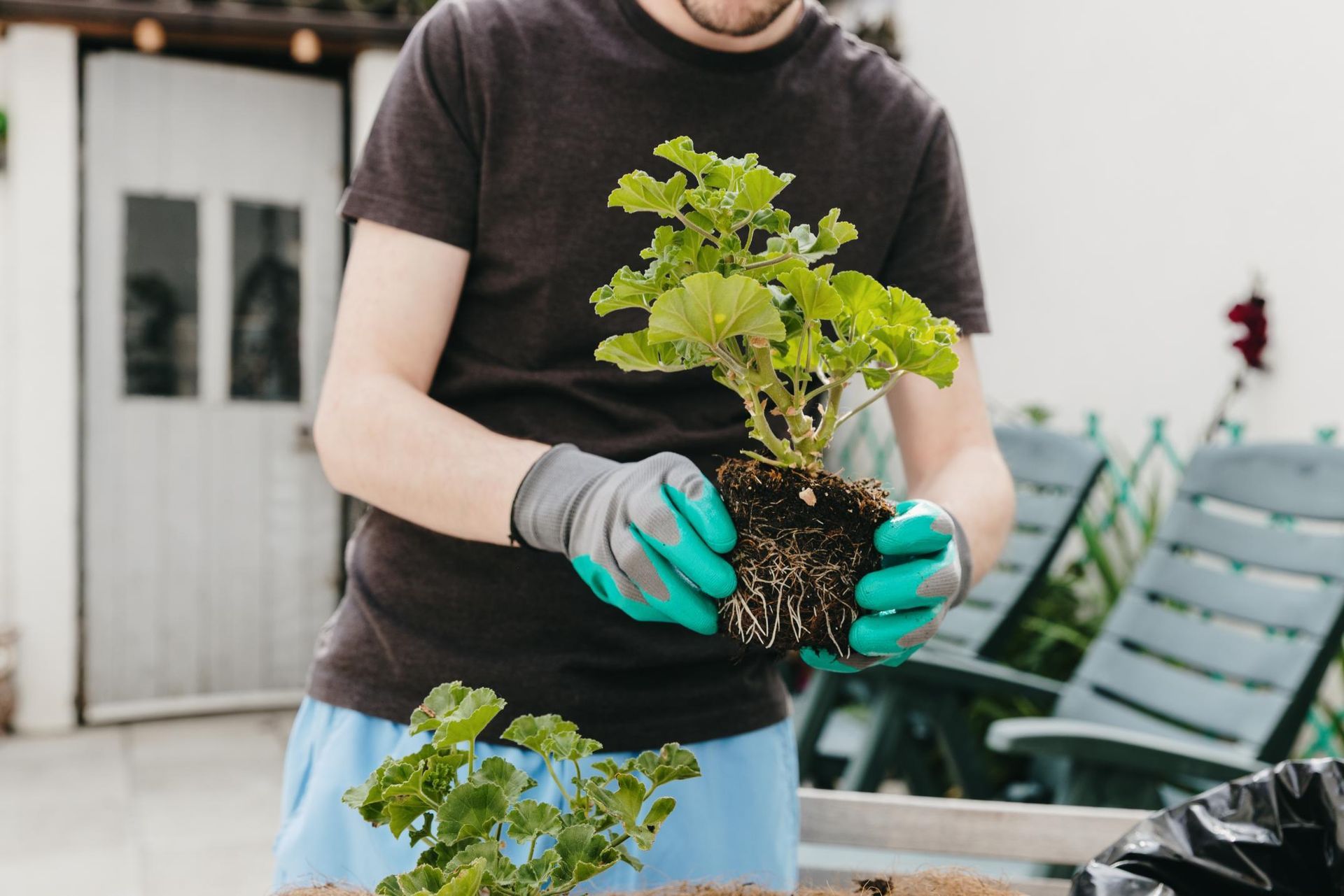 Person wearing gloves holds a small potted plant in a garden setting.