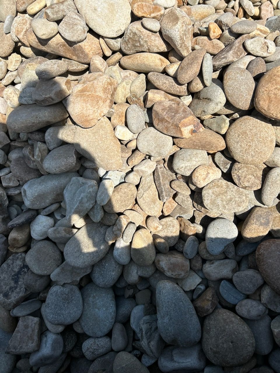 Close-up of tan and gray pebbles with a shadow across the lower half