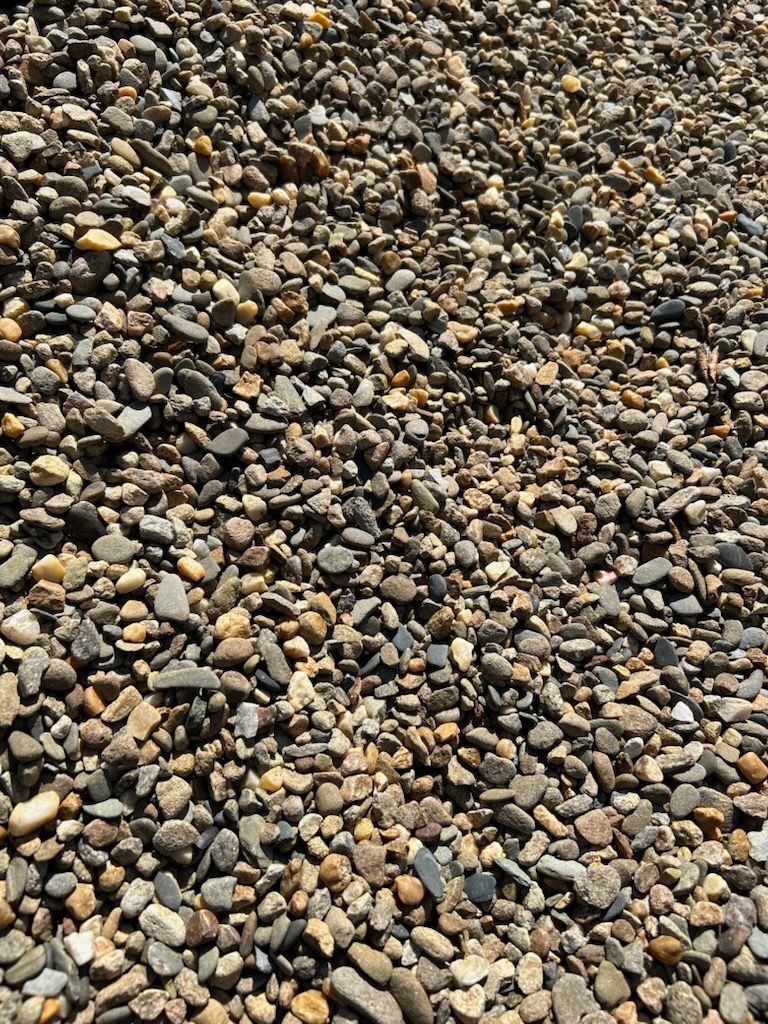 Close-up of small gray, brown, and tan pebbles covering the ground