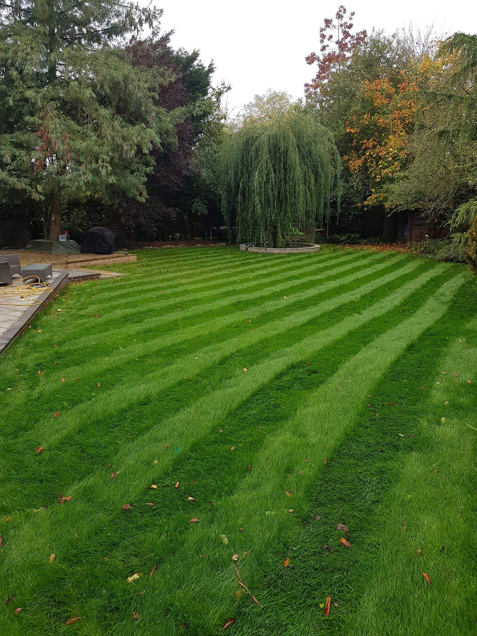 Neatly mowed green lawn with diagonal stripes, bordered by trees and shrubs in a garden.