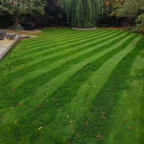 Neatly striped green lawn in a landscaped backyard with stone patio and trees in the background