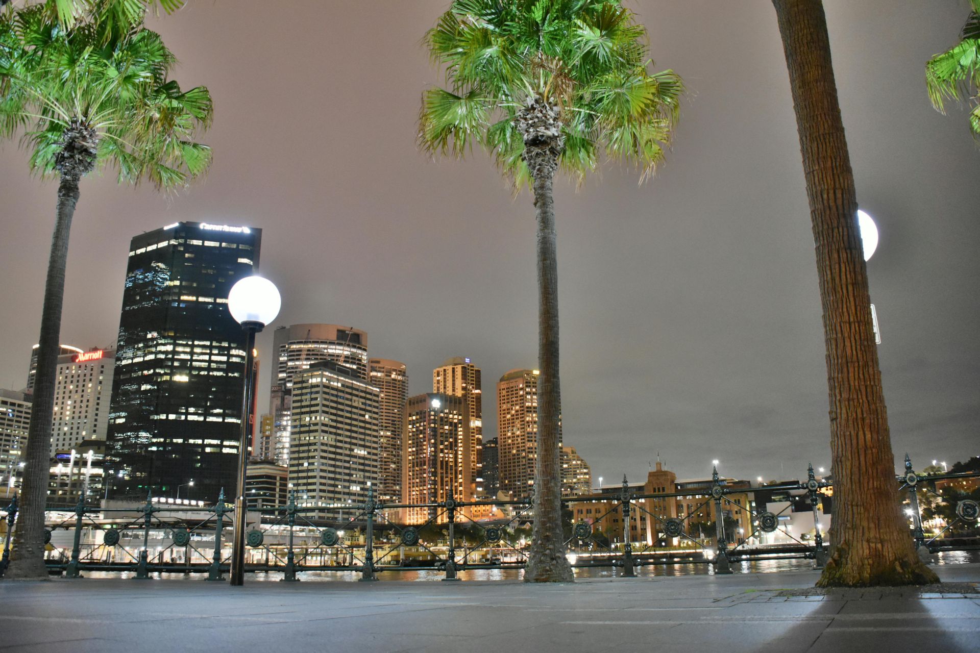 Night city skyline with lit office buildings, palm trees, and a waterfront promenade under cloudy skies