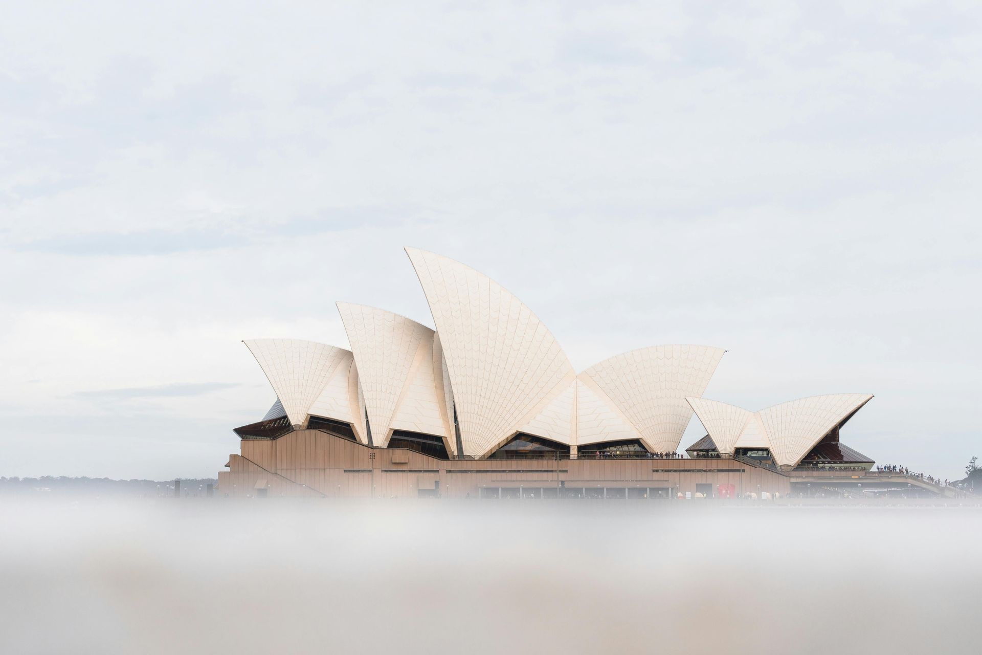Sydney Opera House above foggy water at sunrise
