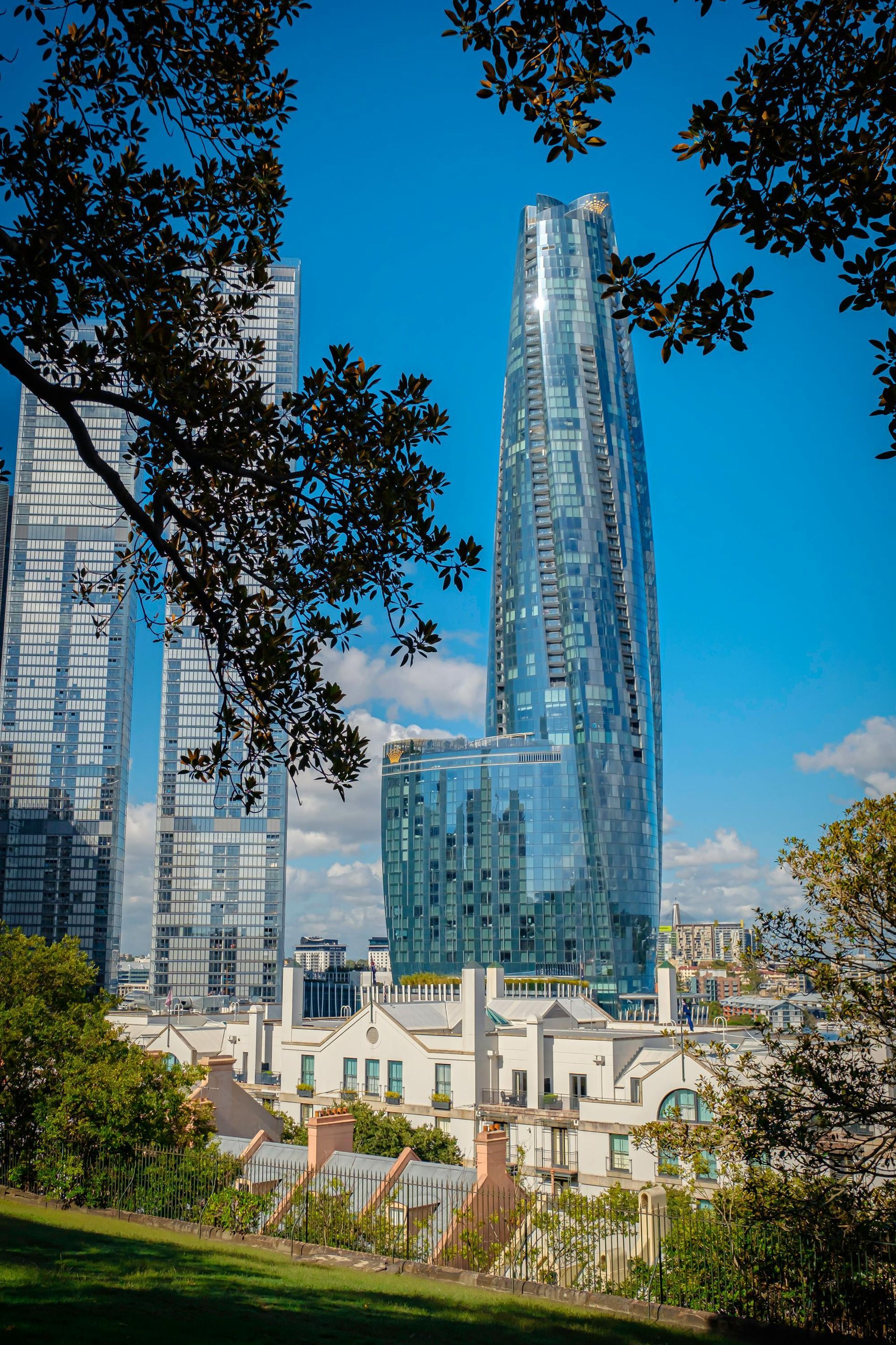 Tall modern skyscrapers rise above older buildings, seen through tree branches on a sunny day.