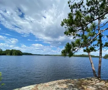 A pine tree sits on a rocky cliff overlooking a calm blue lake under a sky filled with bright, scattered clouds.