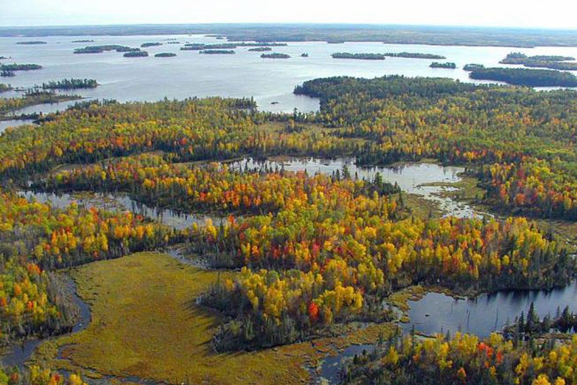 Aerial view of a sprawling autumn landscape with vibrant yellow, orange, and green trees surrounding interconnected lakes.