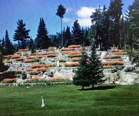 A terraced rock garden with rows of orange flowers, surrounded by evergreen trees and a green lawn under a sunny blue sky.