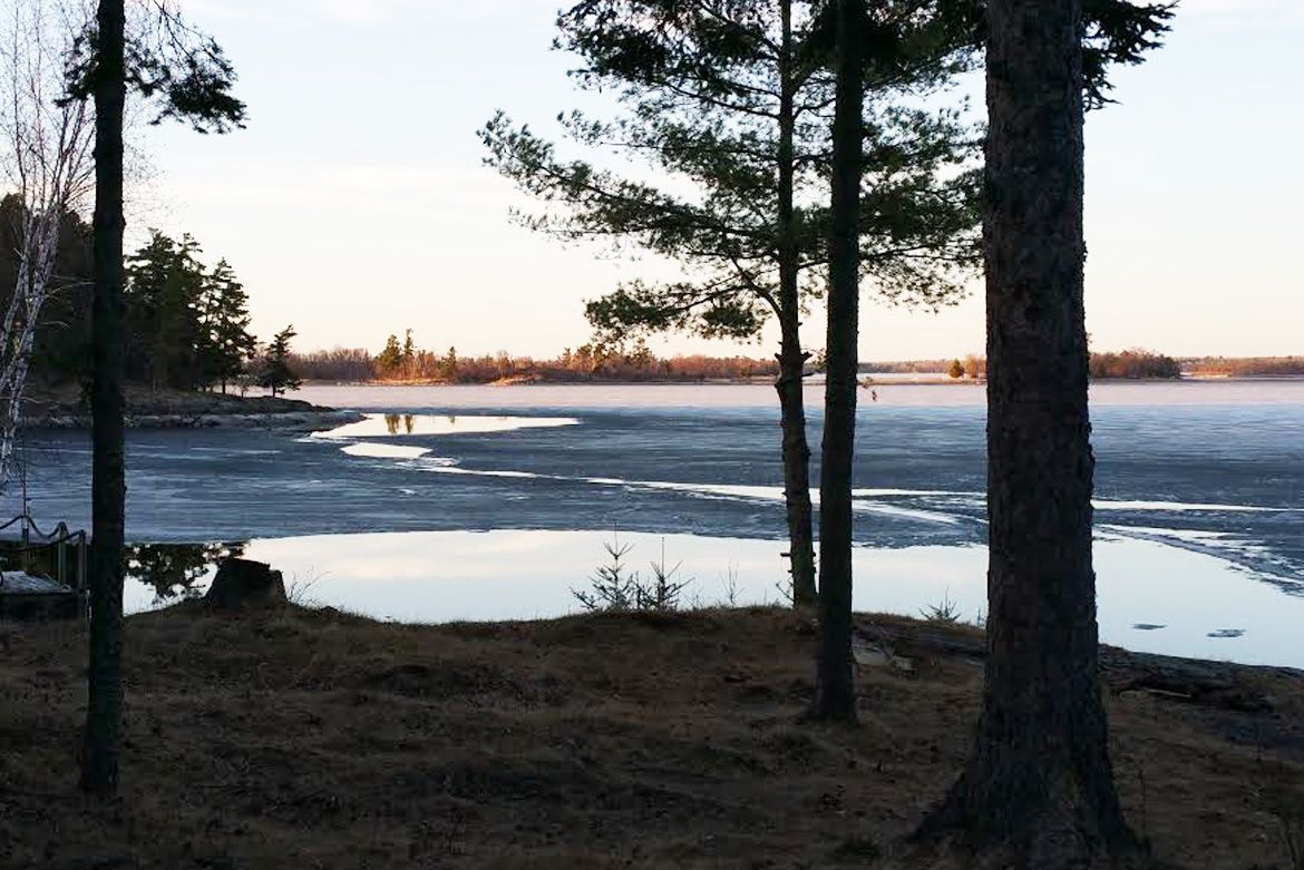 A sunlit lake with ice partially melted along the shoreline, viewed through trees on a grassy, darkened bank.